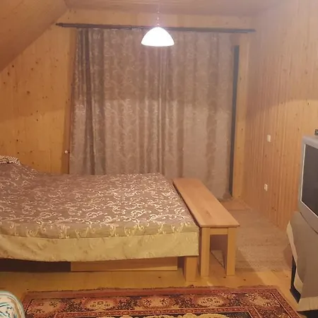 In Carpathians Guest house Migovo