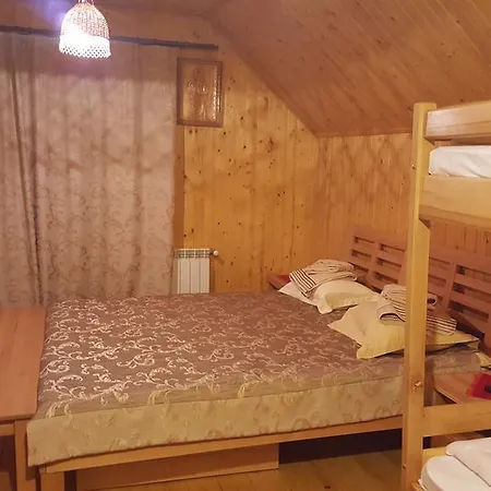 In Carpathians Pensjonat Migowo