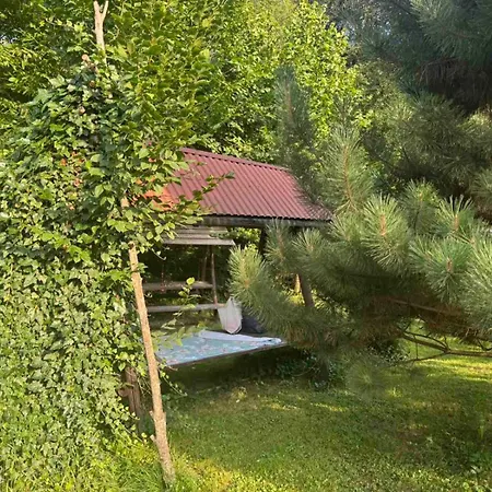Guest house In Carpathians
