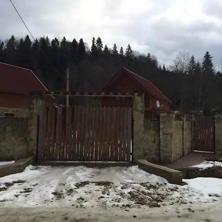 In Carpathians